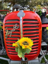 Steyr 86E